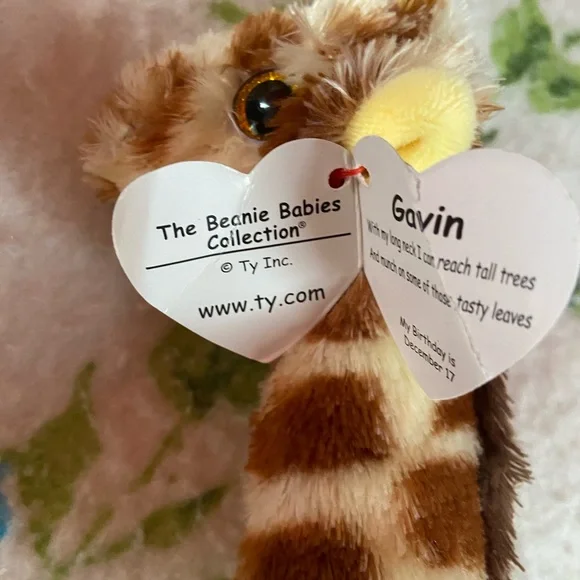 Gavin the giraffe - Picture 5 of 5